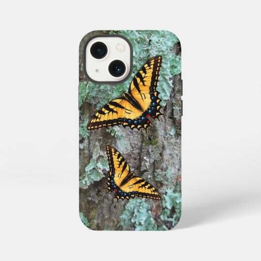 Etui iPhone 13 Mini Papillon de queue de tigre (Verso)