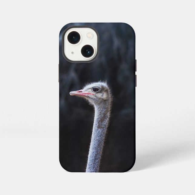 Etui iPhone 13 Mini Photographie d'autruche (Verso)