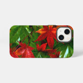 Etui iPhone 13 Mini Pluie d'automne (Verso Horizontal)