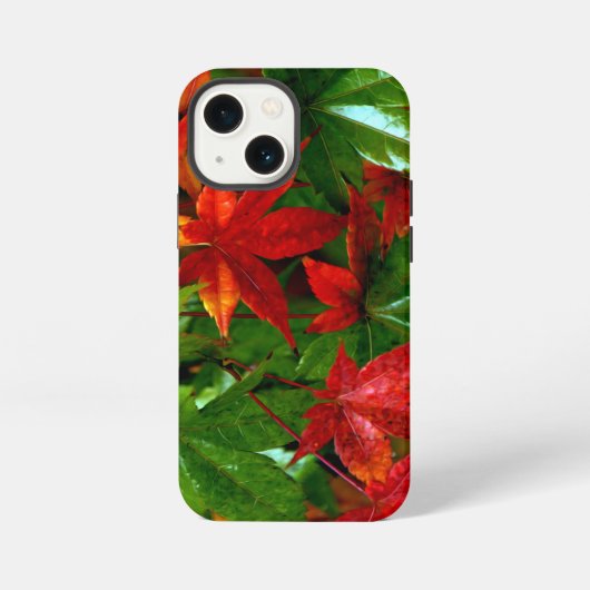 Etui iPhone 13 Mini Pluie d'automne (Verso)