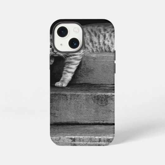 Etui iPhone 13 Mini Stray Cat sur Stairs (Verso)