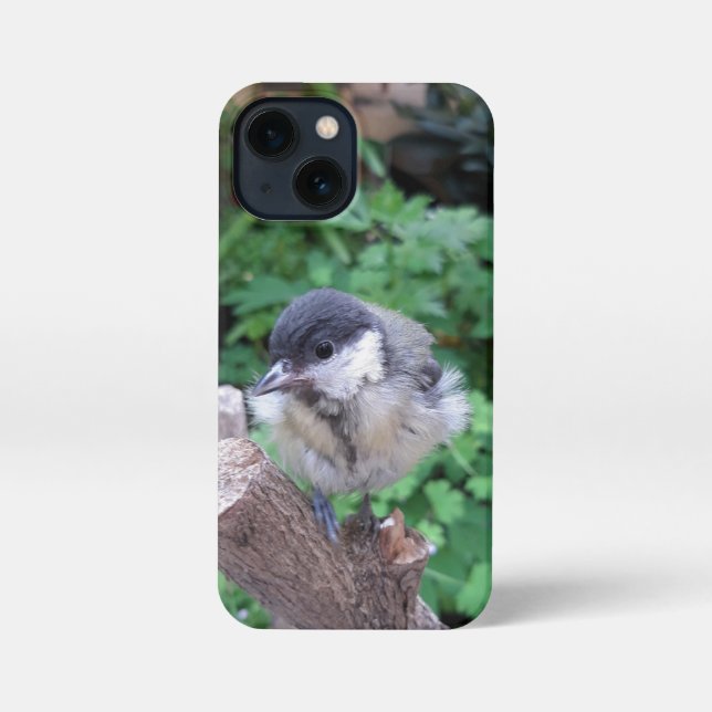 Etui iPhone 13 Mini Tidi my Bird le Parus Major (Verso)