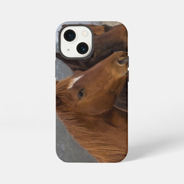 Etui iPhone 13 Mini Triplés de chevaux (Verso)