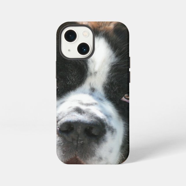 Etui iPhone 13 Mini Visage de Saint-Bernard (Verso)
