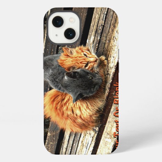 Etui iPhone 13 Minous au dodo (Verso)
