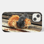 Etui iPhone 13 Minous en sieste (Verso Horizontal)