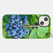 Etui iPhone 13 Myrtilles Mûres Sur Buisson (Verso Horizontal)