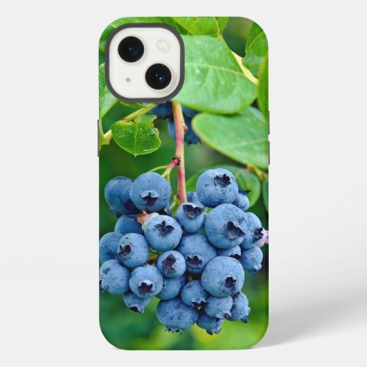 Etui iPhone 13 Myrtilles Mûres Sur Buisson (Verso)