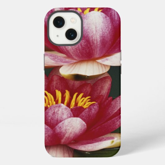 Etui iPhone 13 Nymphéas hybrides (Verso)