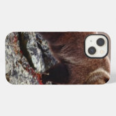 Etui iPhone 13 Ours Brown de Denali (Verso Horizontal)