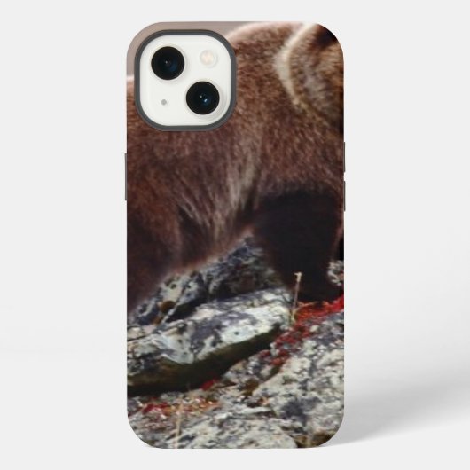 Etui iPhone 13 Ours Brown de Denali (Verso)
