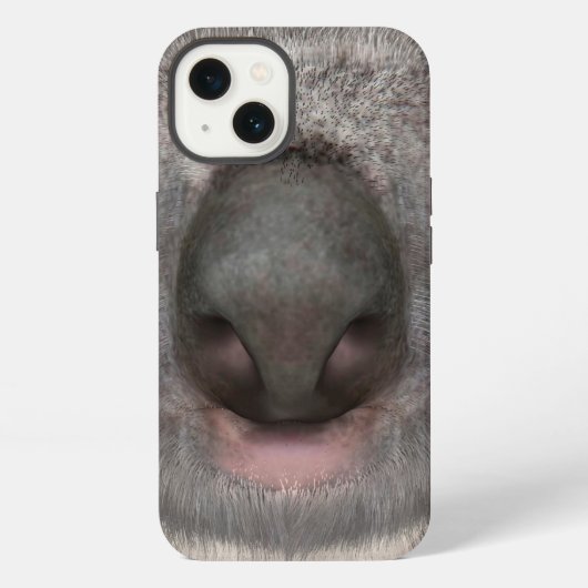 Etui iPhone 13 Ours koala (Verso)