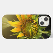 Etui iPhone 13 Ouverture de tournesol en pleine floraison (Verso Horizontal)