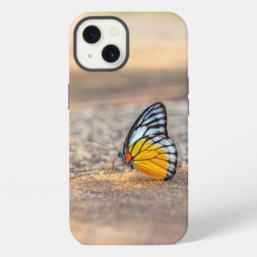 Etui iPhone 13 Papillon sur la plage (Verso)