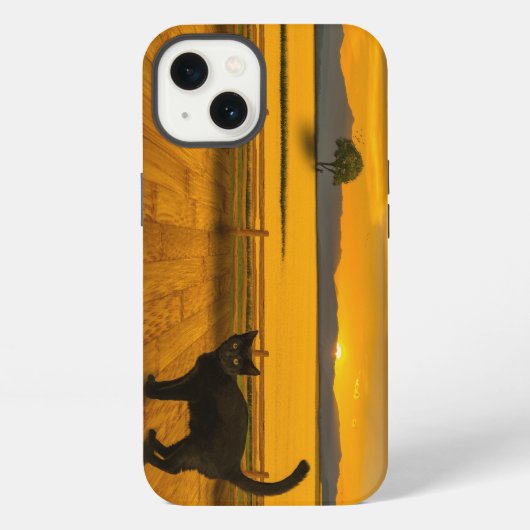 Etui iPhone 13 Paysage de chat noir (Verso)