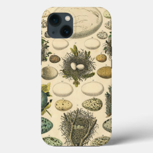 Etui iPhone 13 Peinture artistique de nid d'oeuf d'oiseau vintage
