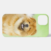 Etui iPhone 13 Peinture Chow Chow - Joli art original chien (Verso Horizontal)