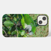 Etui iPhone 13 Perroquet vert (Verso Horizontal)