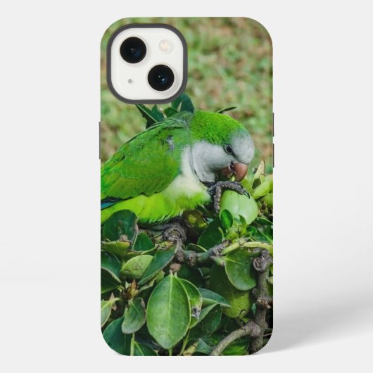 Etui iPhone 13 Perroquet vert (Verso)