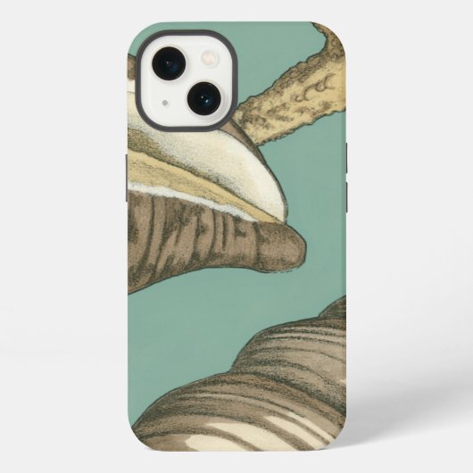 Etui iPhone 13 Petit trio de Shell sur Teal (Verso)