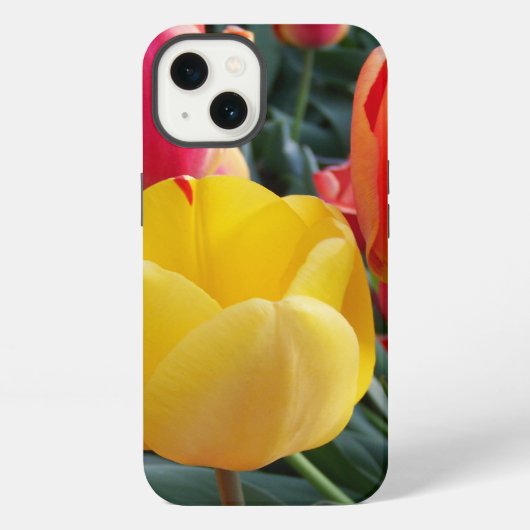 Etui iPhone 13 Photo (Verso)