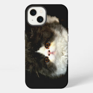 Etui iPhone 13 Photo de chaton noir et blanc mignon