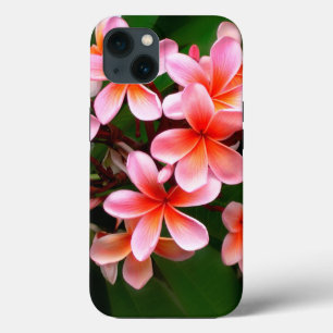 Etui iPhone 13 Photo de fleur florale de plumeria rose tropical v
