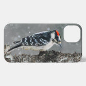 Etui iPhone 13 Pic Downy en neige - Photo originale (Verso Horizontal)