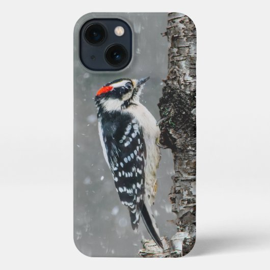 Etui iPhone 13 Pic Downy en neige - Photo originale (Verso)