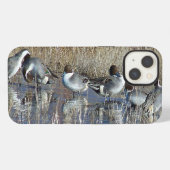 Etui iPhone 13 Pintail Ducks iPhone 6 Coque (Verso Horizontal)
