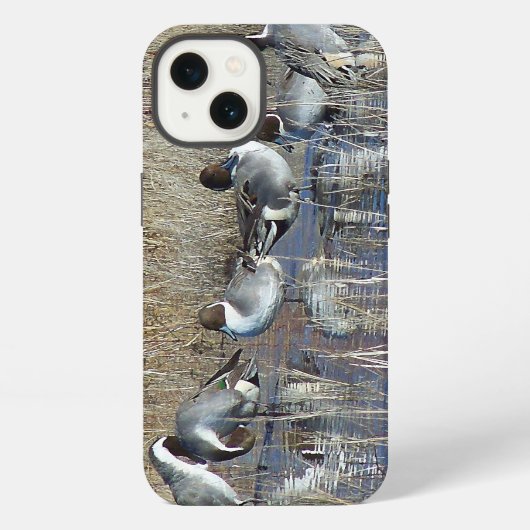 Etui iPhone 13 Pintail Ducks iPhone 6 Coque (Verso)