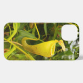 Etui iPhone 13 Pitcher Plant Nepenthes Carnivorous Nature Photo (Verso Horizontal)