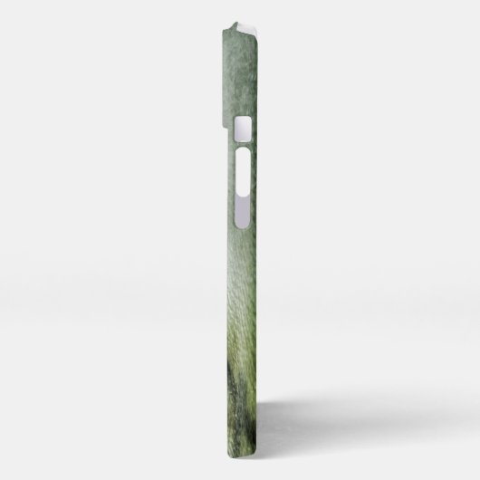 Etui iPhone 13 Plages tropicales | Clearwater Floride (Côté gauche)