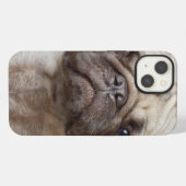 Etui iPhone 13 Portrait carlin (Verso Horizontal)