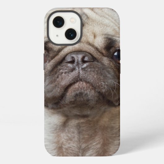 Etui iPhone 13 Portrait carlin (Verso)