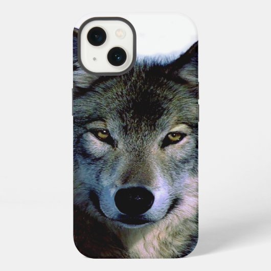 Etui iPhone 13 Portrait de loup (Verso)