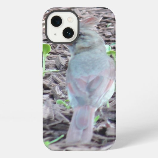 Etui iPhone 13 Pretty Female Cardinal Cell Phone Case (Verso)