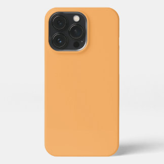 Etui iPhone 13 Pro Affaire de téléphone