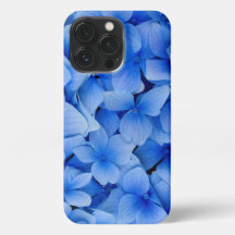 Blue Lacecap Hydrangea Flower 