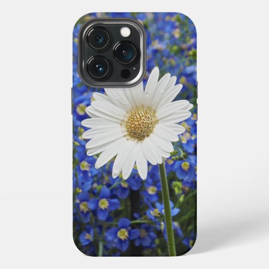 Etui iPhone 13 Pro Boîtier iPhone 13 Pro White Daisy (Dos)