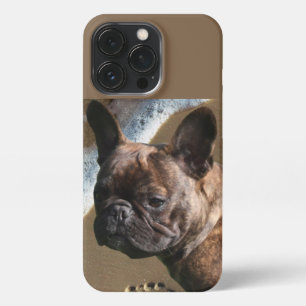 Etui iPhone 13 Pro Bouledogue français au bord de la mer French Bulld
