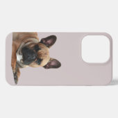 Etui iPhone 13 Pro Bouledogue français Coque iPhone 13 Pro iPhone  (Verso Horizontal)