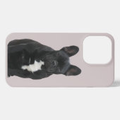 Etui iPhone 13 Pro Bouledogue français Mignon French Bulldog (Verso Horizontal)