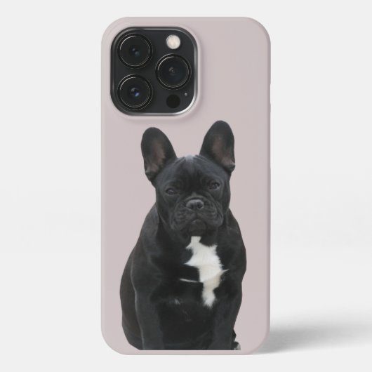 Etui iPhone 13 Pro Bouledogue français Mignon French Bulldog (Verso)