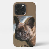 Etui iPhone 13 Pro Bulldogge français IPhone 13 par coquille (Verso)