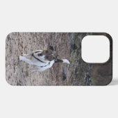 Etui iPhone 13 Pro Capo von Oppenheim, Jack Russell Terrier Chien (Verso Horizontal)