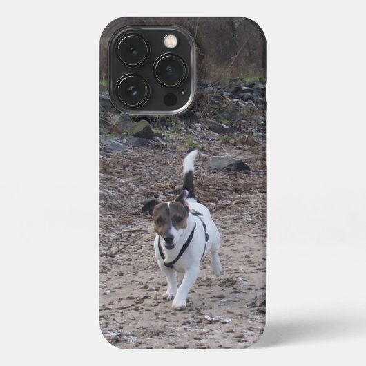 Etui iPhone 13 Pro Capo von Oppenheim, Jack Russell Terrier Chien (Verso)