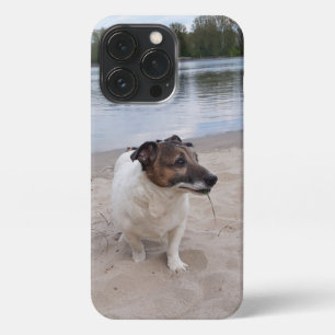 Etui iPhone 13 Pro Capo von Oppenheim, Jack Russell Terrier Chien