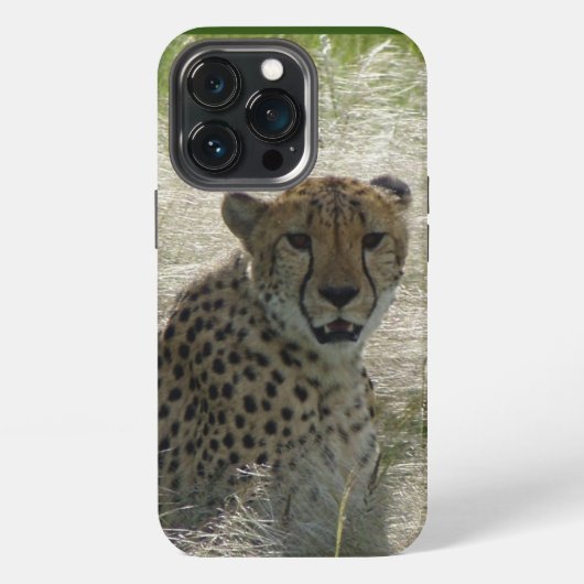 Etui iPhone 13 Pro Cheetah iPhone / coque ipad (Dos)