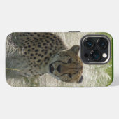 Etui iPhone 13 Pro Cheetah iPhone / coque ipad (Verso Horizontal)
